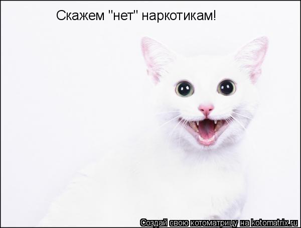 Скажем "нет" наркотикам!... Котоматрица: Скажем "нет" наркотикам!