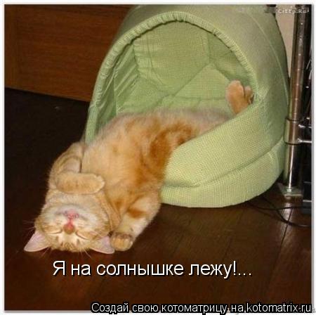 Я на солнышке лежу!...... Котоматрица: Я на солнышке лежу!...