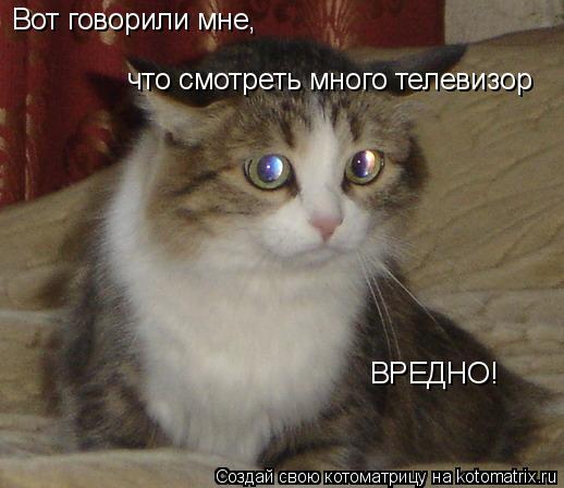 Вот говорили мне, что смотреть много телевизор ВРЕДНО!... Котоматрица: Вот говорили мне, что смотреть много телевизор ВРЕДНО!