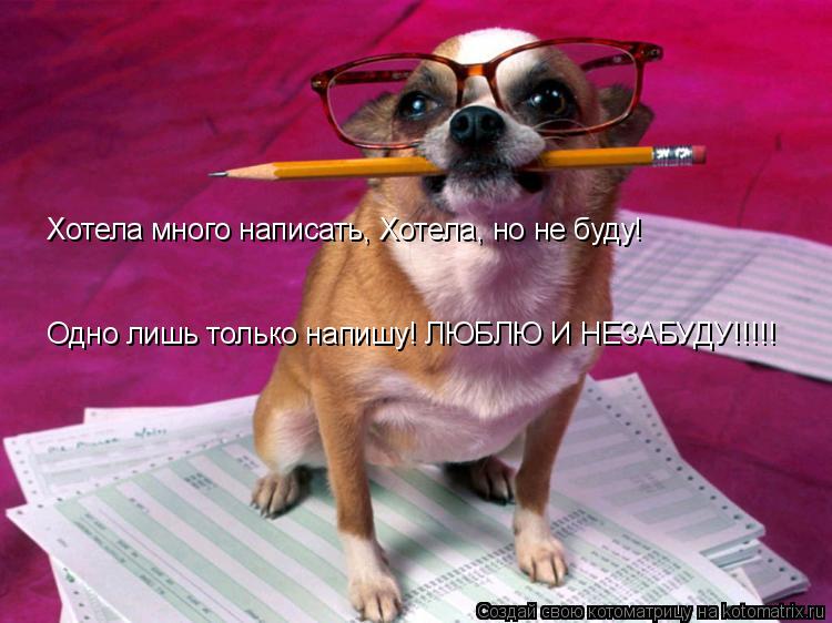 Хотела много написать, Хотела, но не буду! Одно лишь только напишу! ЛЮБЛЮ И НЕЗАБУДУ!!!!!... Котоматрица: Хотела много написать, Хотела, но не буду! Одно лишь только напишу! ЛЮБЛЮ И НЕЗАБУДУ!!!!!