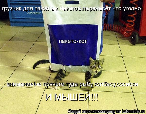 грузчик для тяжёлых пакетов.перенесёт что угодно! пакето-кот внимание!не прячьте туда рыбу,колбасу,со... Котоматрица: грузчик для тяжёлых пакетов.перенесёт что угодно! пакето-кот внимание!не прячьте туда рыбу,колбасу,сосиски И МЫШЕЙ!!!