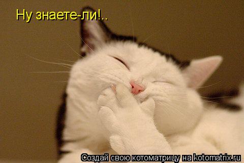 Ну знаете-ли!..... Котоматрица: Ну знаете-ли!..