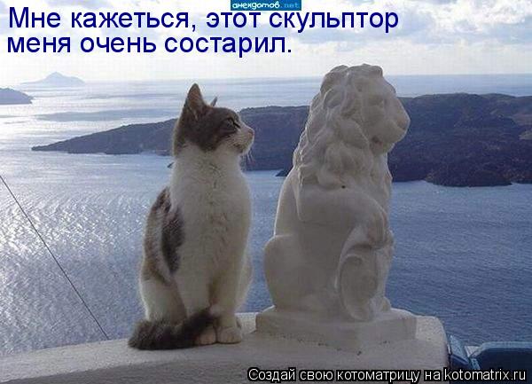 Мне кажеться, этот скульптор меня очень состарил.... Котоматрица: Мне кажеться, этот скульптор меня очень состарил.