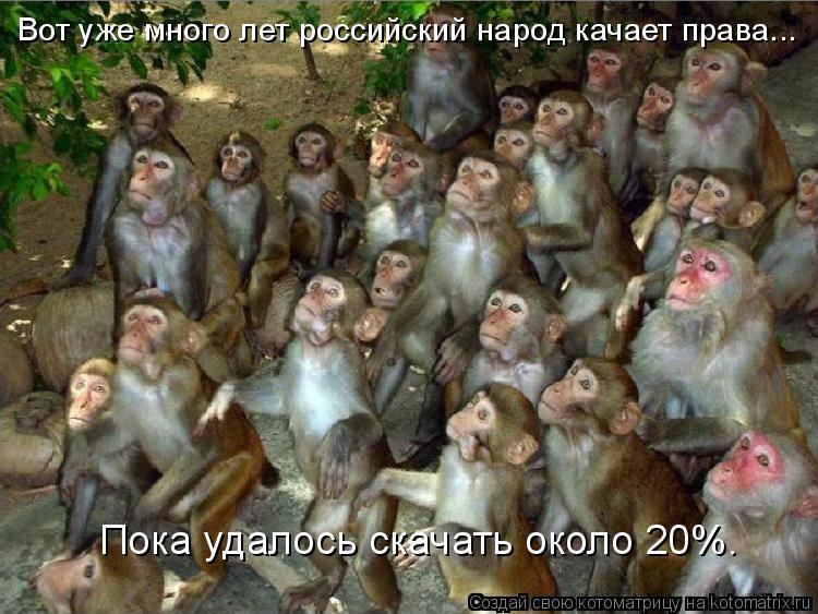 Вот уже много лет российский народ качает права... Пока удалось скачать около 20%.... Котоматрица: Вот уже много лет российский народ качает права... Пока удалось скачать около 20%.