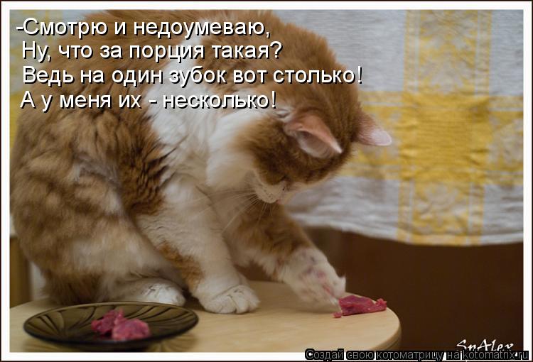 -Смотрю и недоумеваю, Ну, что за порция такая? Ведь на один зубок вот столько! А у меня их - нескольк... Котоматрица: -Смотрю и недоумеваю, Ну, что за порция такая? Ведь на один зубок вот столько! А у меня их - несколько!