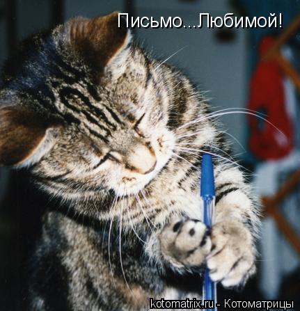 Письмо...Любимой!... Котоматрица: Письмо...Любимой!