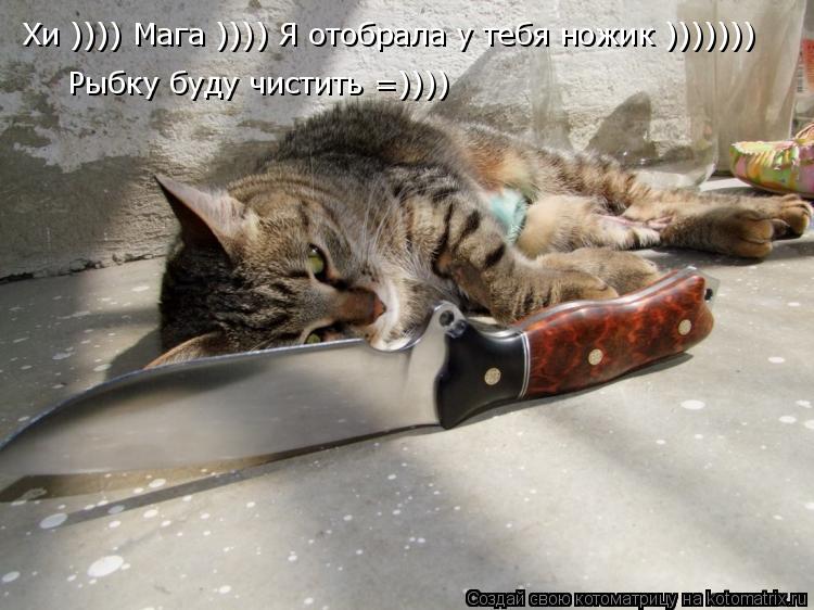 Хи )))) Мага )))) Я отобрала у тебя ножик ))))))) Рыбку буду чистить =))))... Котоматрица: Хи )))) Мага )))) Я отобрала у тебя ножик ))))))) Рыбку буду чистить =))))