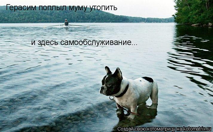 Герасим поплыл муму утопить и здесь самообслуживание...... Котоматрица: Герасим поплыл муму утопить и здесь самообслуживание...