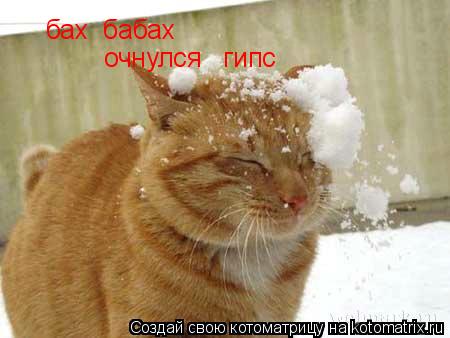 бах бабах очнулся гипс... Котоматрица: бах бабах очнулся гипс