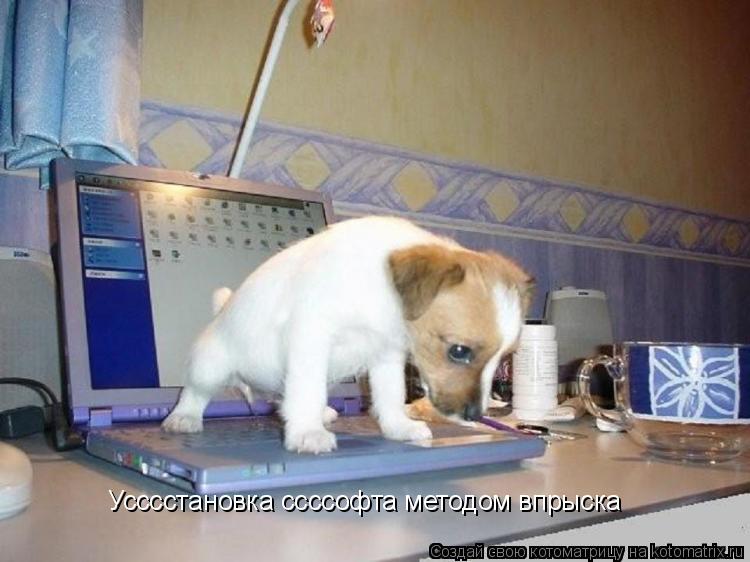 Усссстановка ссссофта методом впрыска... Котоматрица: Усссстановка ссссофта методом впрыска
