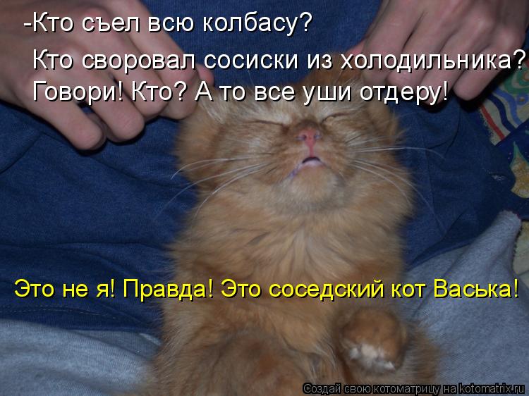 -Кто съел всю колбасу? Кто своровал сосиски из холодильника? Говори! Кто? А то все уши отдеру! Это не... Котоматрица: -Кто съел всю колбасу? Кто своровал сосиски из холодильника? Говори! Кто? А то все уши отдеру! Это не я! Правда! Это соседский кот Васька!