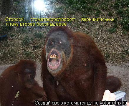 Стоооой.... стоматооооолоооогг.... верниииисьььь плачу втроее бооольшееее... Котоматрица: Стоооой.... стоматооооолоооогг.... верниииисьььь плачу втроее бооольшееее