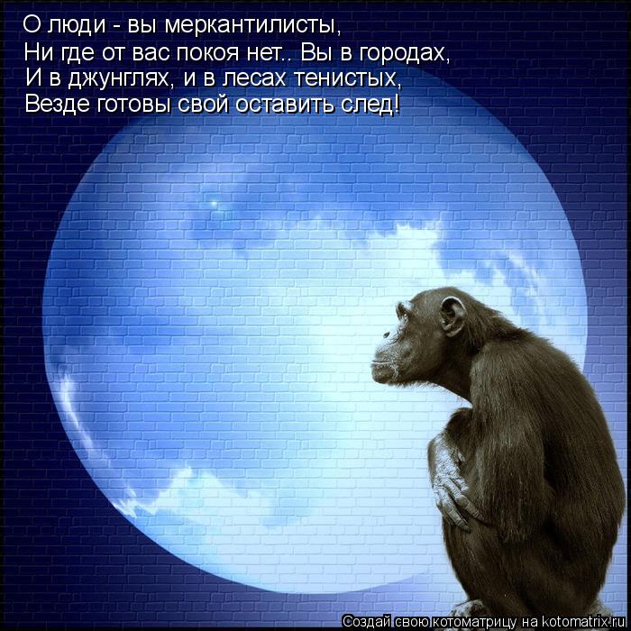 О люди - вы меркантилисты, Ни где от вас покоя нет.. Вы в городах, И в джунглях, и в лесах тенистых, ... Котоматрица: О люди - вы меркантилисты, Ни где от вас покоя нет.. Вы в городах, И в джунглях, и в лесах тенистых, Везде готовы свой оставить след!