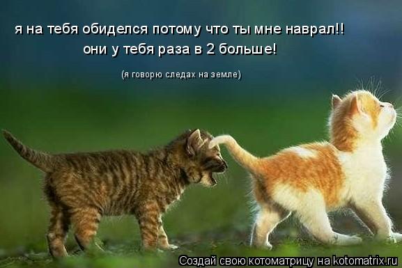 я на тебя обиделся потому что ты мне наврал!! (я говорю следах на земле) они у тебя раза в 2 больше!... Котоматрица: я на тебя обиделся потому что ты мне наврал!! (я говорю следах на земле) они у тебя раза в 2 больше!