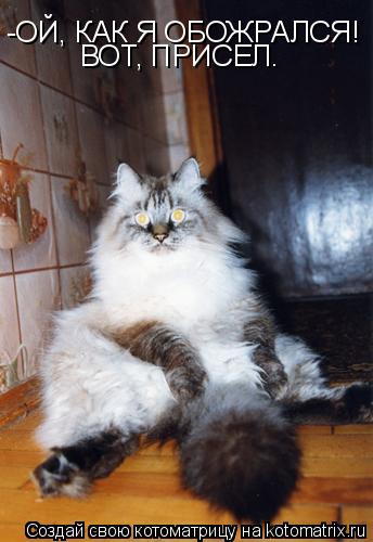 -ОЙ, КАК Я ОБОЖРАЛСЯ! ВОТ, ПРИСЕЛ.... Котоматрица: -ОЙ, КАК Я ОБОЖРАЛСЯ! ВОТ, ПРИСЕЛ.