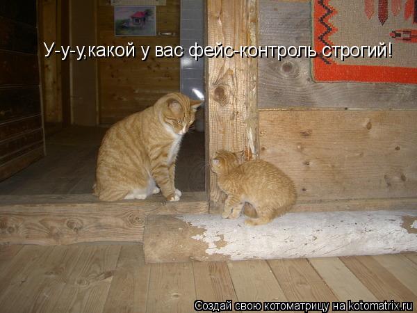 У-у-у,какой у вас фейс-контроль строгий!... Котоматрица: У-у-у,какой у вас фейс-контроль строгий!