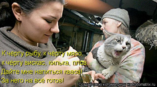 К чёрту рыбу, к чёрту мясо, к чёрту вискас, килька, плов... Дайте мне напиться кваса! За него на всё ... Котоматрица: К чёрту рыбу, к чёрту мясо, к чёрту вискас, килька, плов... Дайте мне напиться кваса! За него на всё готов!