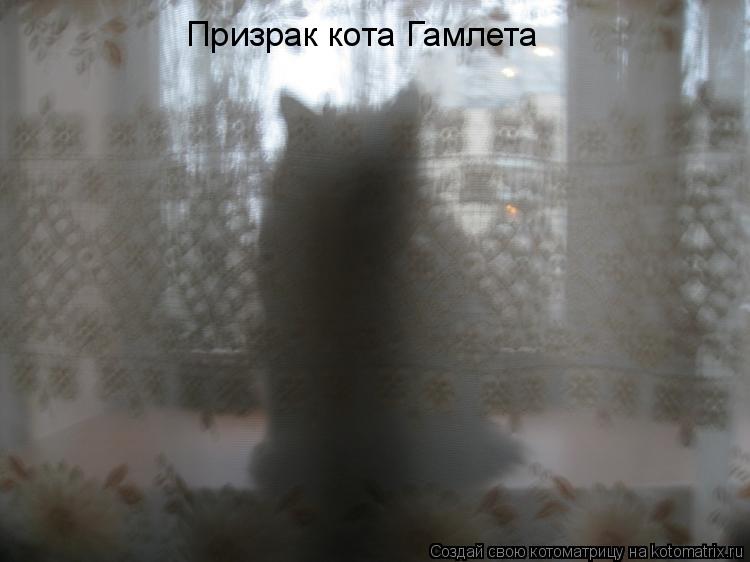 Призрак кота Гамлета... Котоматрица: Призрак кота Гамлета
