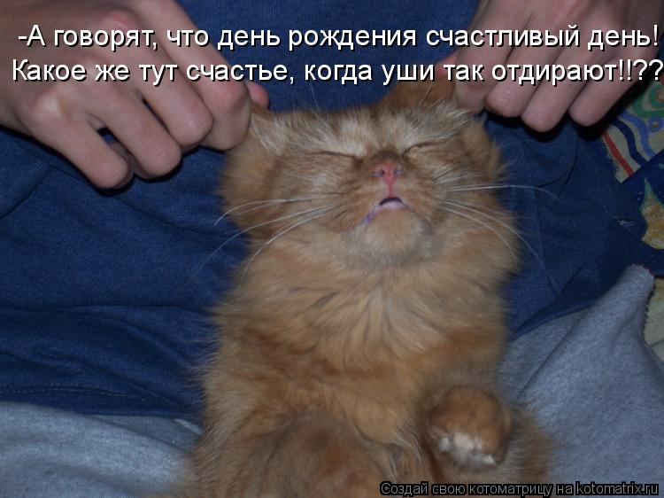 -А говорят, что день рождения счастливый день! Какое же тут счастье, когда уши так отдирают!!??... Котоматрица: -А говорят, что день рождения счастливый день! Какое же тут счастье, когда уши так отдирают!!??
