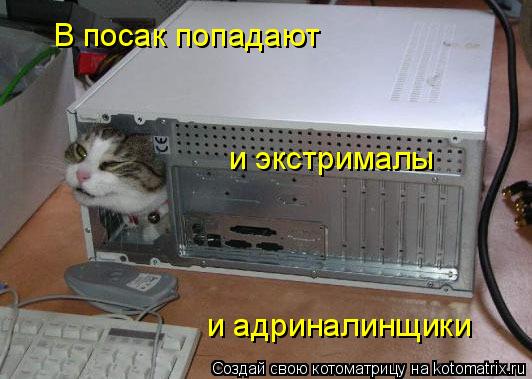 и адриналинщики В посак попадают и экстрималы... Котоматрица: и адриналинщики В посак попадают и экстрималы