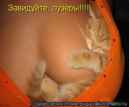Завидуйте, лузеры!!!!... Котоматрица: Завидуйте, лузеры!!!!