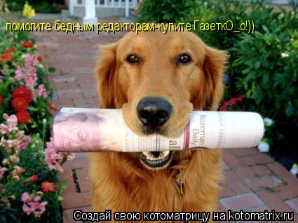 помогите бедным редакторам-купите ГазеткО_о!))... Котоматрица: помогите бедным редакторам-купите ГазеткО_о!))