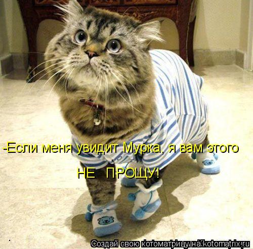 -Если меня увидит Мурка, я вам этого НЕ ПРОЩУ!... Котоматрица: -Если меня увидит Мурка, я вам этого НЕ ПРОЩУ!