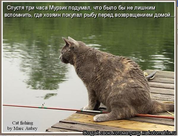Котоматрица: Спустя три часа Мурзик подумал, что было бы не лишним вспомнить, где хозяин покупал рыбу перед возвращением домой...
