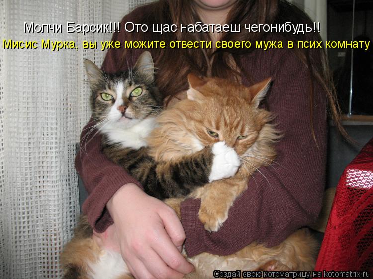 Молчи Барсик!!! Ото щас набатаеш чегонибудь!! Мисис Мурка, вы уже можите отвести своего мужа в псих к... Котоматрица: Молчи Барсик!!! Ото щас набатаеш чегонибудь!! Мисис Мурка, вы уже можите отвести своего мужа в псих комнату