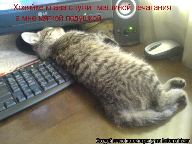 -Хозяйке клава служит машиной печатания а мне мягкой подушкой.... Котоматрица: -Хозяйке клава служит машиной печатания а мне мягкой подушкой.