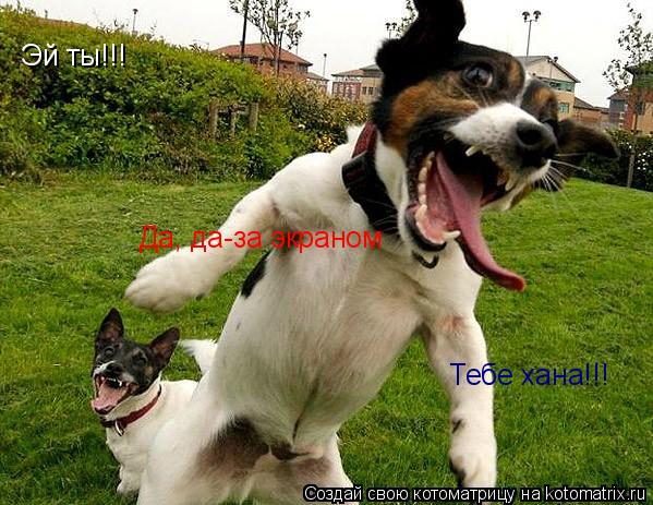 Эй ты!!! Да, да-за экраном Тебе хана!!!... Котоматрица: Эй ты!!! Да, да-за экраном Тебе хана!!!