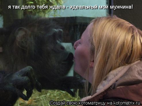 я так долго тебя ждала - идеальный мой мужчина!... Котоматрица: я так долго тебя ждала - идеальный мой мужчина!