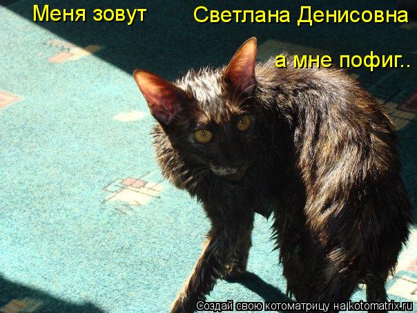 Меня зовут Светлана Денисовна а мне пофиг..... Котоматрица: Меня зовут Светлана Денисовна а мне пофиг..