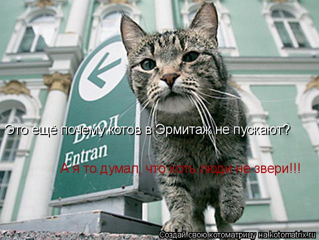 Это ещё почему котов в Эрмитаж не пускают? А я то думал, что хоть люди не звери!!!... Котоматрица: Это ещё почему котов в Эрмитаж не пускают? А я то думал, что хоть люди не звери!!!