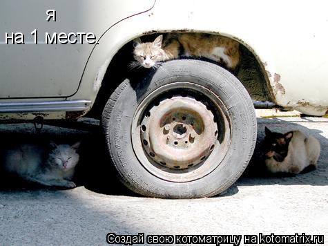 я на 1 месте.... Котоматрица: я на 1 месте.