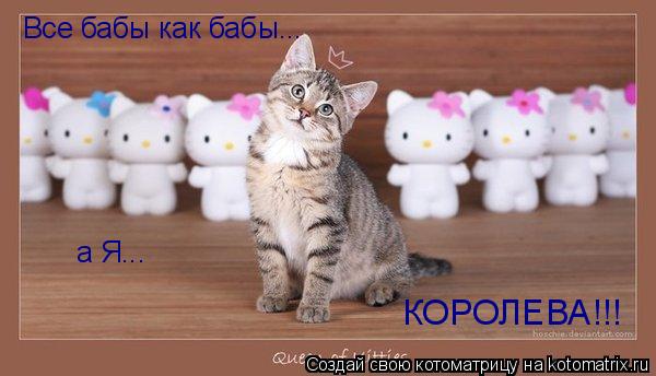 Все бабы как бабы... а Я... КОРОЛЕВА!!!... Котоматрица: Все бабы как бабы... а Я... КОРОЛЕВА!!!