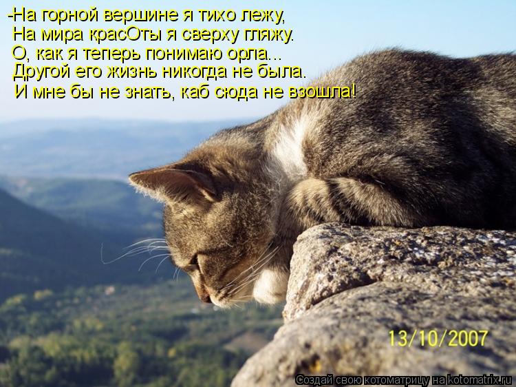 -На горной вершине я тихо лежу, На мира красОты я сверху гляжу. О, как я теперь понимаю орла... Друго... Котоматрица: -На горной вершине я тихо лежу, На мира красОты я сверху гляжу. О, как я теперь понимаю орла... Другой его жизнь никогда не была. И мне бы не зна