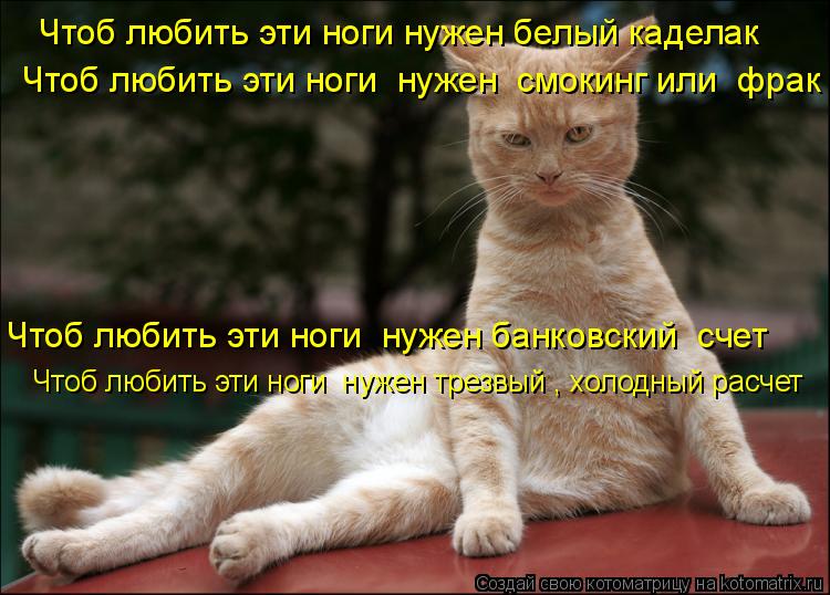 Чтоб любить эти ноги нужен смокинг или фрак Чтоб любить эти ноги нужен банковский счет Чтоб люби... Котоматрица: Чтоб любить эти ноги нужен смокинг или фрак Чтоб любить эти ноги нужен банковский счет Чтоб любить эти ноги нужен трезвый , холодный рас