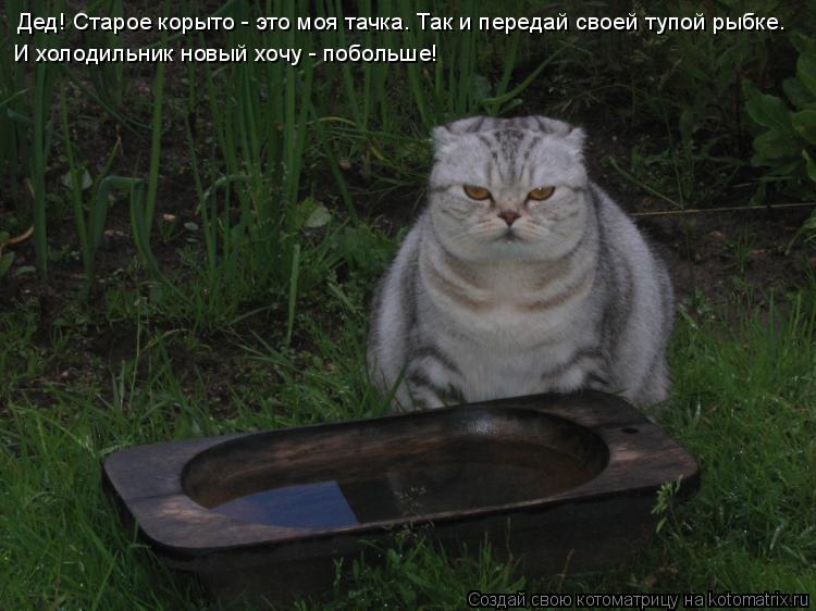 Дед! Старое корыто - это моя тачка. Дед! Старое корыто - это моя тачка. Так и передай своей тупой рыб... Котоматрица: Дед! Старое корыто - это моя тачка. Дед! Старое корыто - это моя тачка. Так и передай своей тупой рыбке. И холодильник новый хочу - побольше!