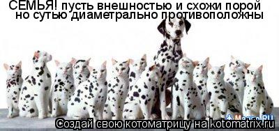 СЕМЬЯ! пусть внешностью и схожи порой но сутью диаметрально противоположны... Котоматрица: СЕМЬЯ! пусть внешностью и схожи порой но сутью диаметрально противоположны