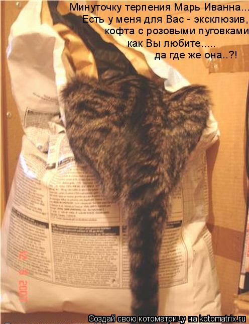 Минуточку терпения Марь Иванна... Есть у меня для Вас - эксклюзив, кофта с розовыми пуговками как Вы ... Котоматрица: Минуточку терпения Марь Иванна... Есть у меня для Вас - эксклюзив, кофта с розовыми пуговками как Вы любите..... да где же она..?!