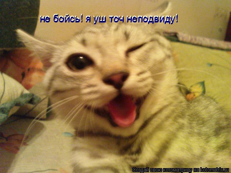 не бойсь! я уш точ неподвиду! не бойсь! я уш точ неподвиду!... Котоматрица: не бойсь! я уш точ неподвиду! не бойсь! я уш точ неподвиду!
