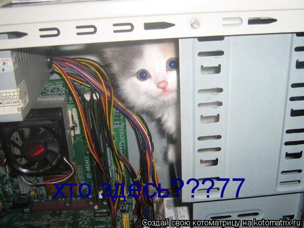 хто здесь???77... Котоматрица: хто здесь???77