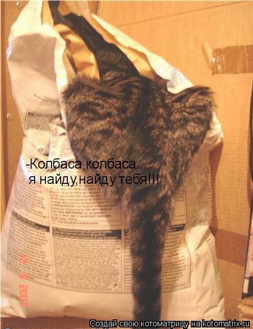 -Колбаса,колбаса... я найду,найду тебя!!!... Котоматрица: -Колбаса,колбаса... я найду,найду тебя!!!