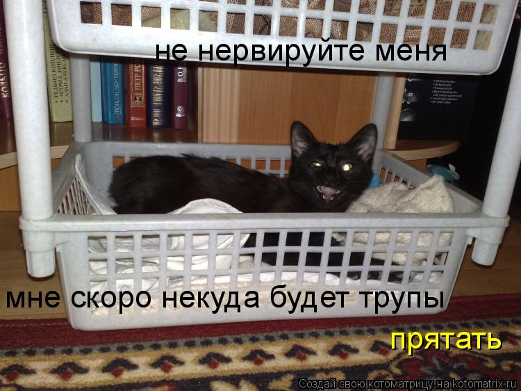 не нервируйте меня мне скоро некуда будет трупы прятать... Котоматрица: не нервируйте меня мне скоро некуда будет трупы прятать