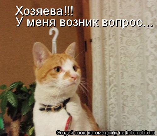 Хозяева!!! У меня возник вопрос...... Котоматрица: Хозяева!!! У меня возник вопрос...