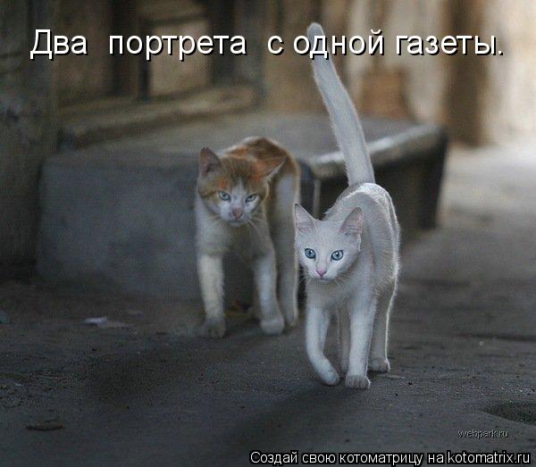 Два портрета с одной газеты.... Котоматрица: Два портрета с одной газеты.