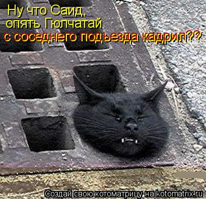 Ну что Саид, опять Гюлчатай с соседнего подъезда кадрил?? с соседнего подъезда кадрил??... Котоматрица: Ну что Саид, опять Гюлчатай с соседнего подъезда кадрил?? с соседнего подъезда кадрил??