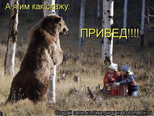 А я им как скажу: ПРИВЕД!!!!... Котоматрица: А я им как скажу: ПРИВЕД!!!!