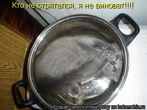 Кто не стрятался, я не виноват!!!!... Котоматрица: Кто не стрятался, я не виноват!!!!